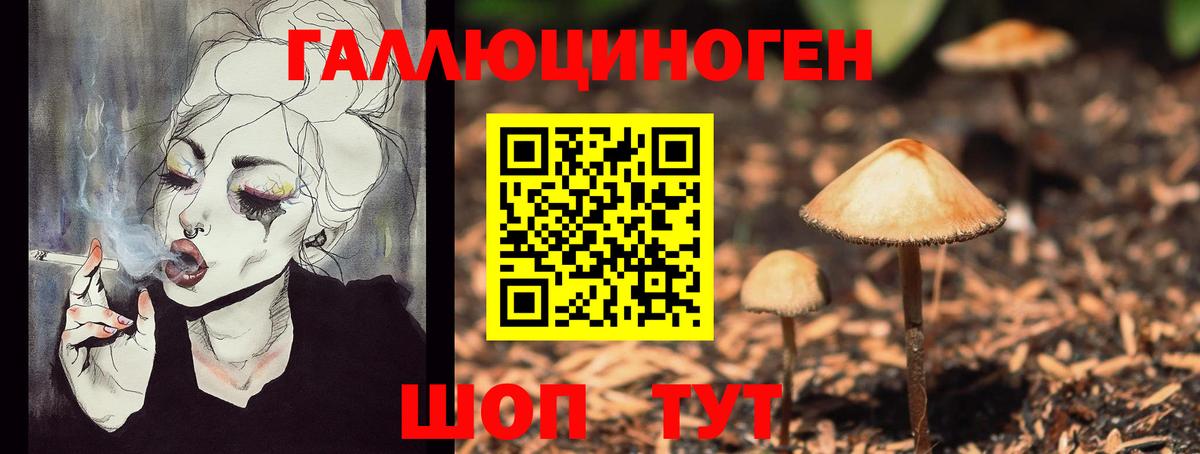 Псилоцибиновые грибы Psilocybe Коркино