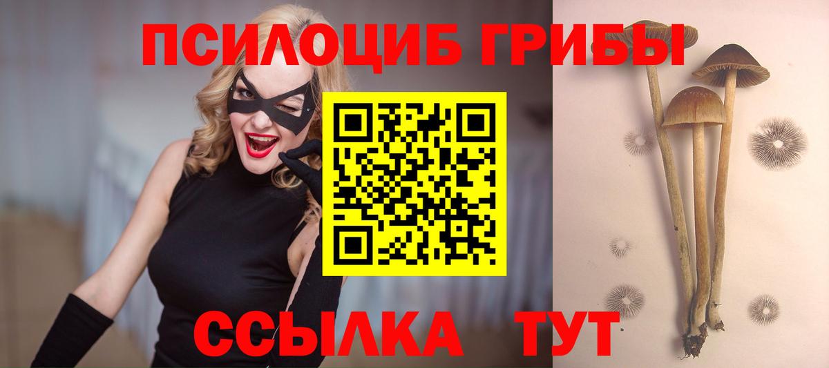 Коркино  Галлюциногенные грибы MAGIC MUSHROOMS  Вход с VPN 